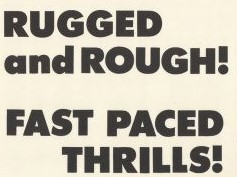 touch of her flesh poster (2)